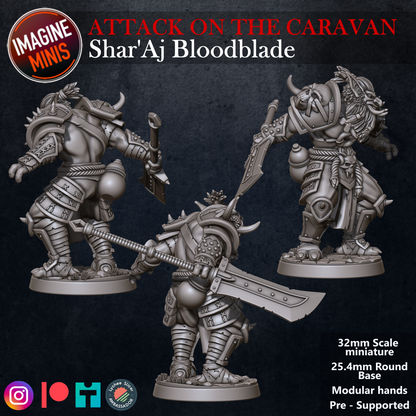 Role-Playing Miniatures - Shar'Aj Bloodblade