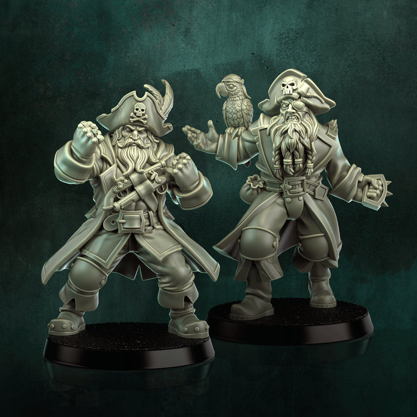 THE FREE CAPTAINS