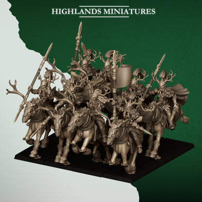 FOREST RIDERS