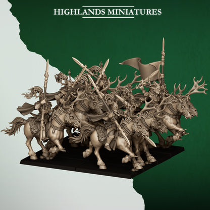 FOREST RIDERS