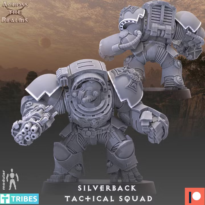SILVERBACK TACTICAL SQUAD