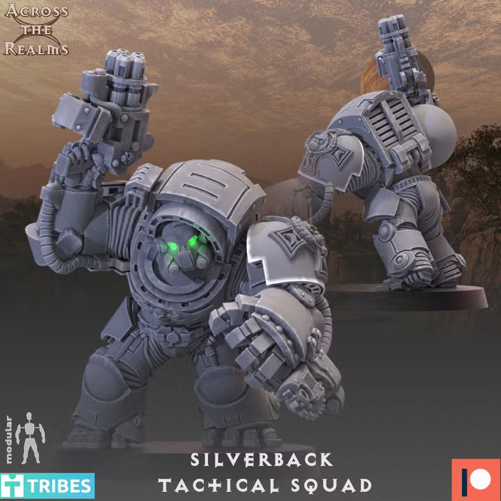 SILVERBACK TACTICAL SQUAD