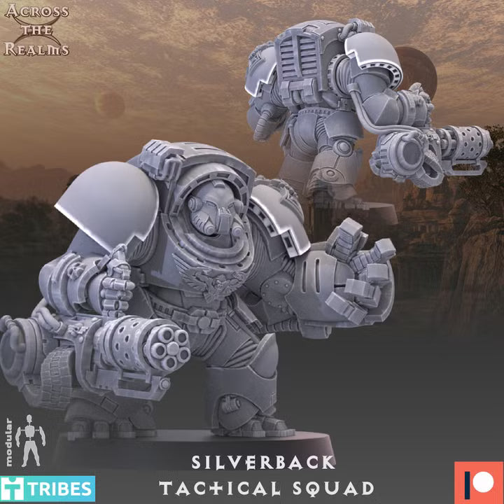 SILVERBACK TACTICAL SQUAD