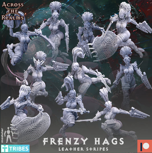 28mm Frenzy Hags