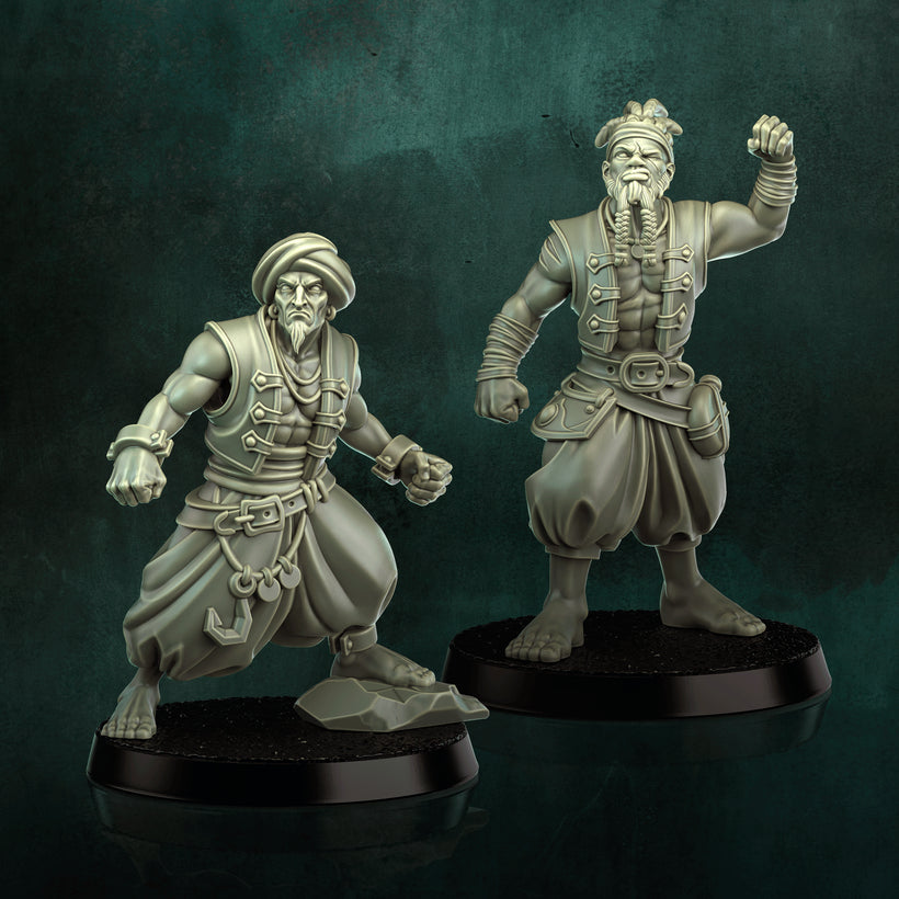 THE FREE CAPTAINS
