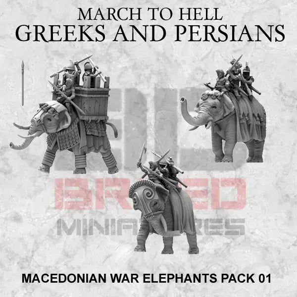 15mm War Elephants