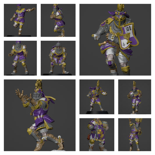 KNIGHT TEAM