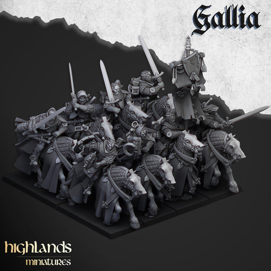 28mm Questing Knights - Gallia