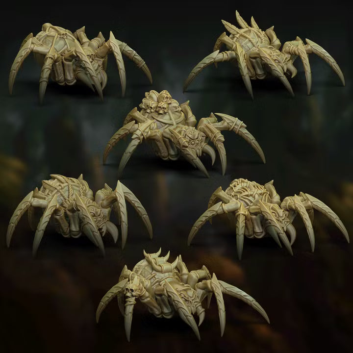 WILD FOREST SPIDERS