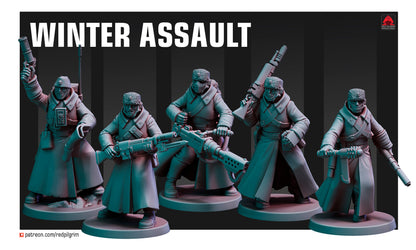 28mm Winter Assault Team