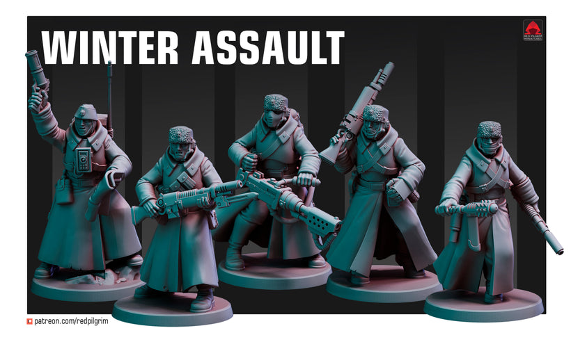 28mm Winter Assault Team