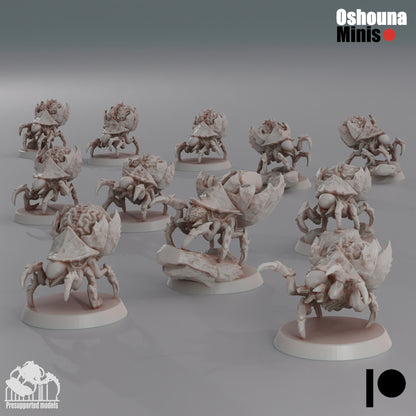 28mm Brain Bugs