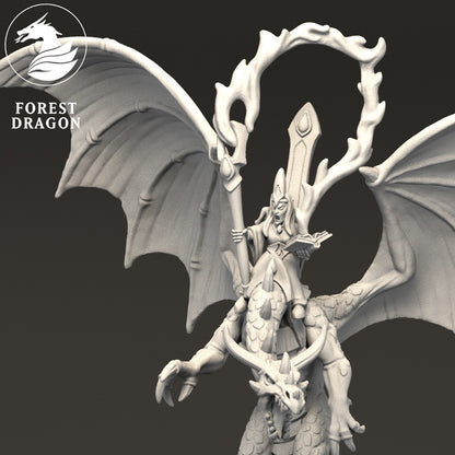 Aurethil Court - 10mm Lord on Dragon