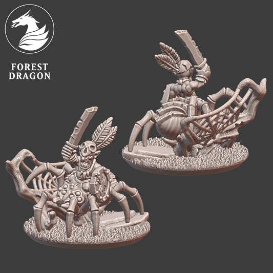 Orcs & Goblins - 10mm Spider Rider Hero