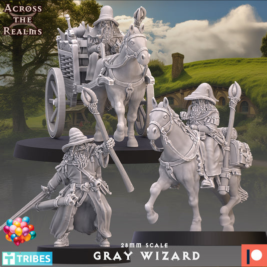 28mm The Grey Wizard