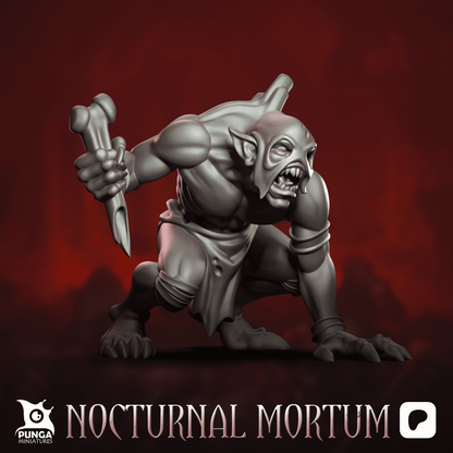 The Nocturnal Mortum Warband