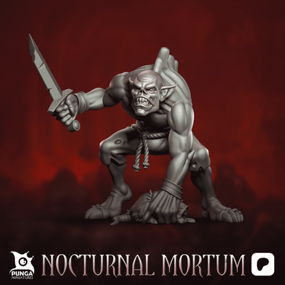 The Nocturnal Mortum Warband