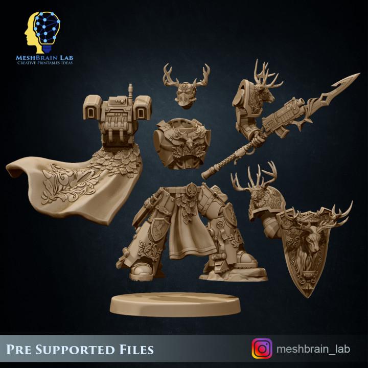 Imperial Marine Master of the order | Imperial Marines | 32mm | Meshbrain Labs