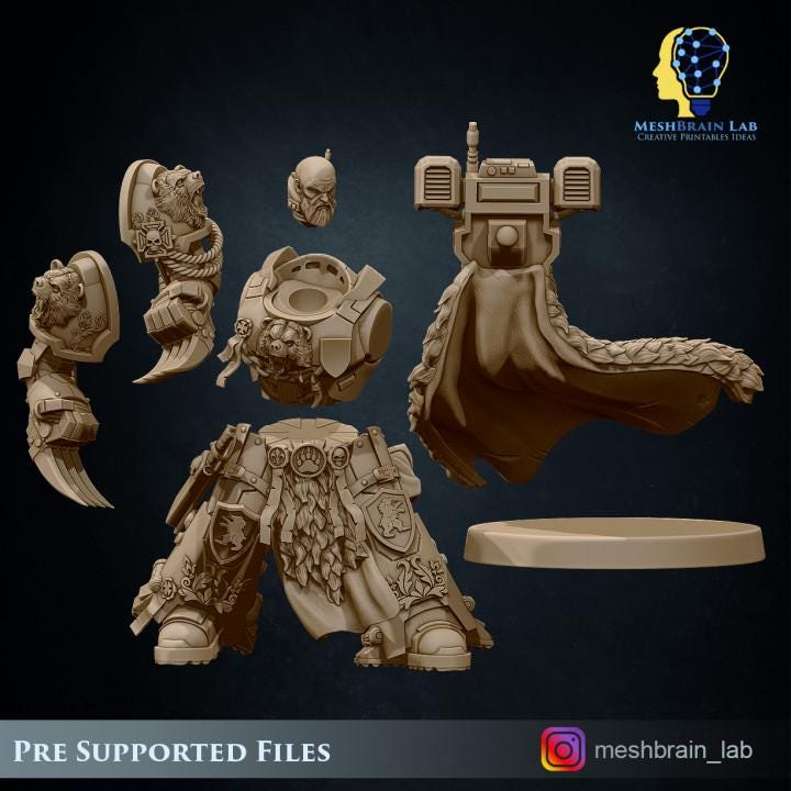 Imperial Marine Master of the order | Imperial Marines | 32mm | Meshbrain Labs