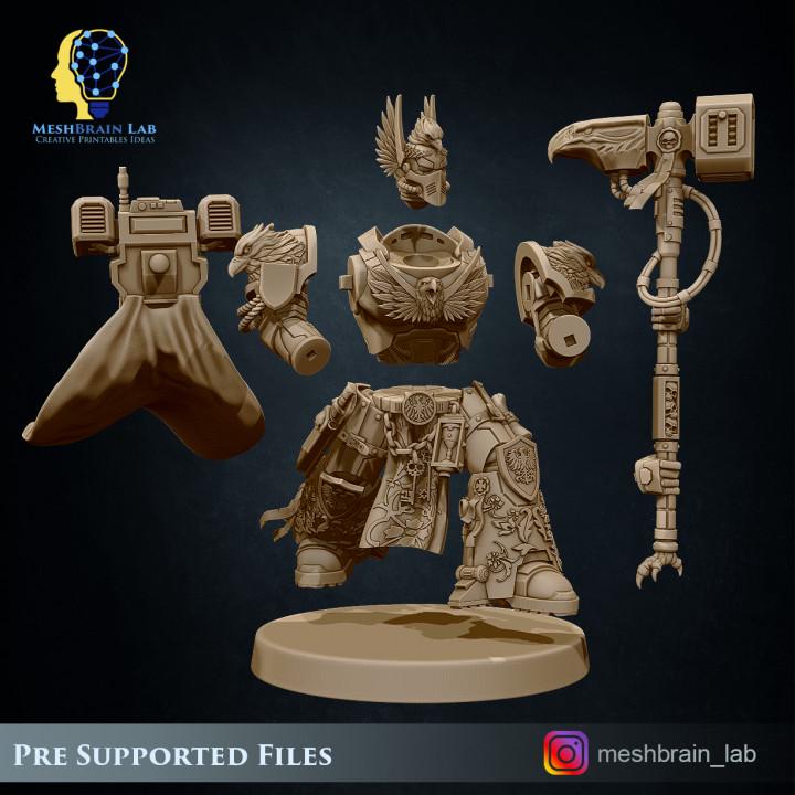 Imperial Marine Master of the order | Imperial Marines | 32mm | Meshbrain Labs