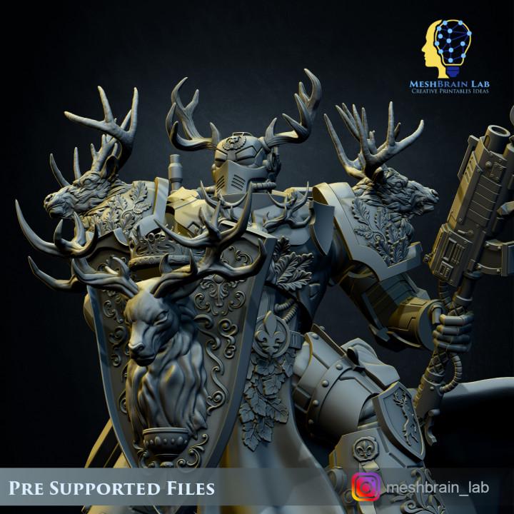 Imperial Marine Master of the order | Imperial Marines | 32mm | Meshbrain Labs