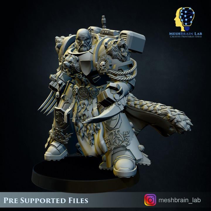 Imperial Marine Master of the order | Imperial Marines | 32mm | Meshbrain Labs