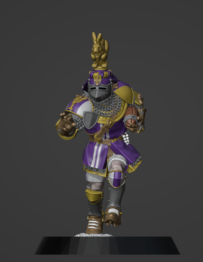 KNIGHT TEAM