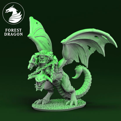 Orcs & Goblins - 10mm Wyvern Heroes