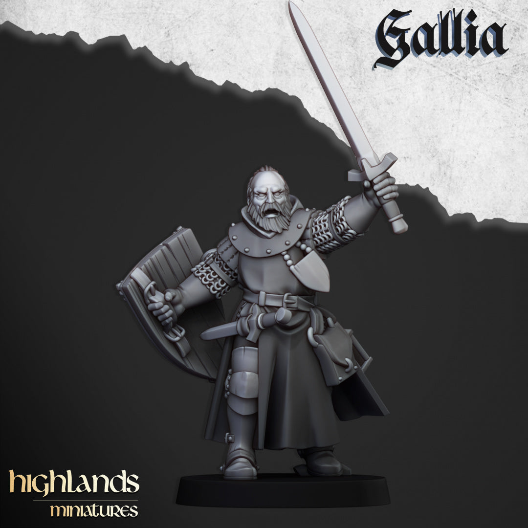 28mm Questing Knight Hero - Gallia