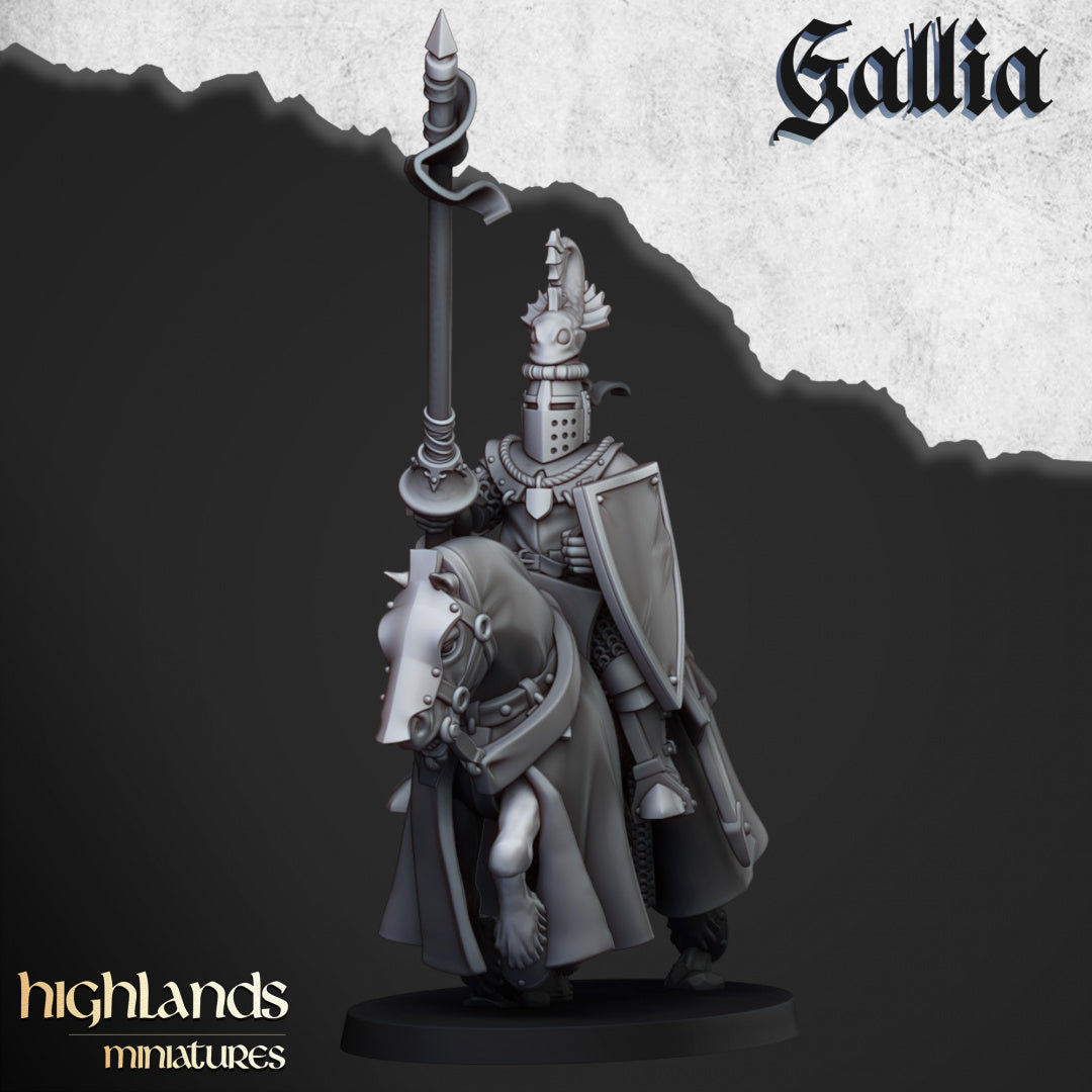 28mm Grail Knights - Gallia