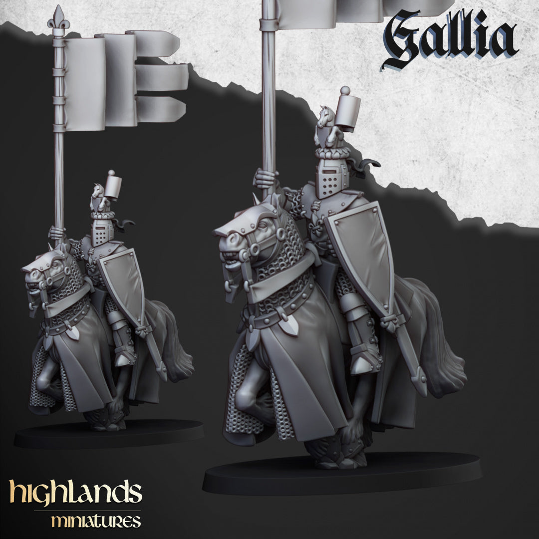 28mm Grail Knights - Gallia