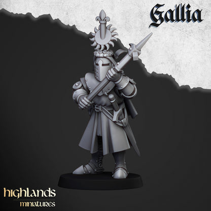 28mm Knights on Foot - Gallia