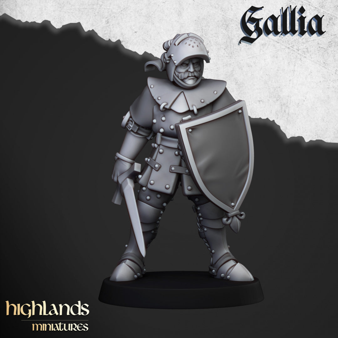 28mm Knights on Foot - Gallia