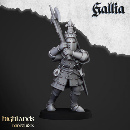 28mm Knights on Foot - Gallia