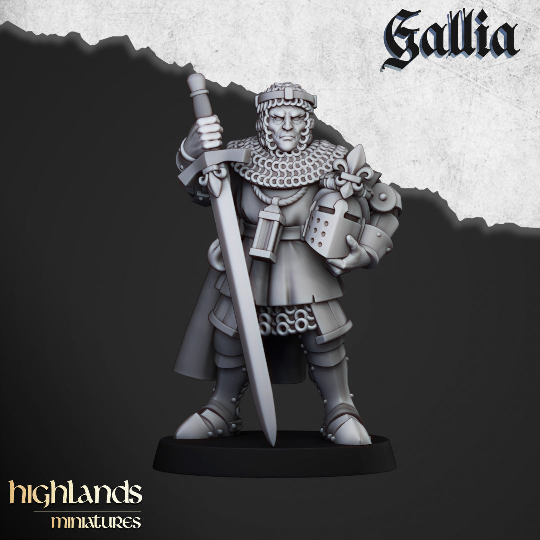 28mm Knights on Foot - Gallia