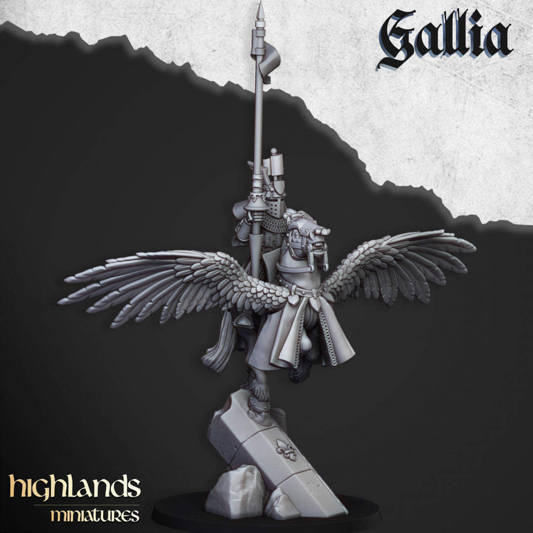 28mm Pegasus Knights - Gallia