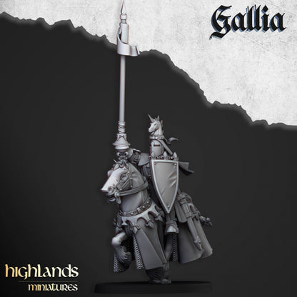 28mm Royal Knights - Gallia