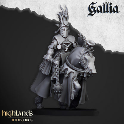 28mm Royal Knights - Gallia