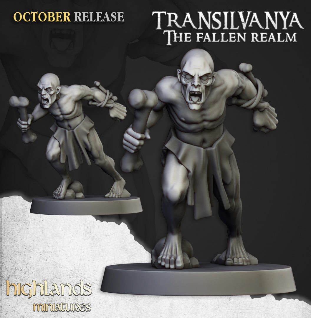 28mm Ghouls - Transilvanya