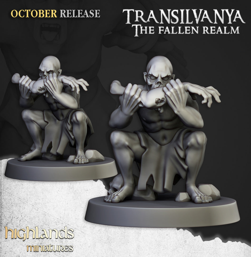 28mm Ghouls - Transilvanya