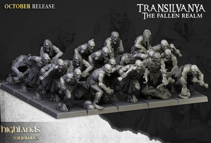 28mm Ghouls - Transilvanya